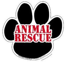 We are a rescue shelter working primarily throughout Missouri to get animals out of the kennels and into their Fur-ever homes!  Adopt a rescue animal!