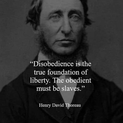 PetersHerbert52's profile picture. Free thinker working on novel writing structure