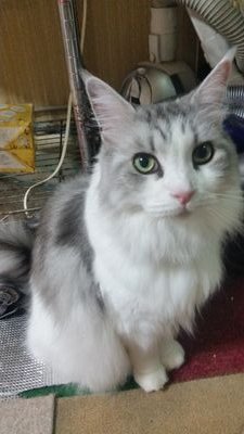 rr6jyo8kK3cDTPV's profile picture. はじめましてー