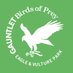 Gauntlet Birds of Prey, Knutsford (@gauntlet_bop) Twitter profile photo