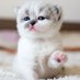 Huy Ngoc (@huyngoc9999) Twitter profile photo Huy Ngoc (@huyngoc9999) Twitter profile photo