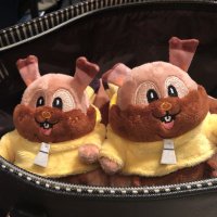 あっぽう (@apple_hksart) 's Twitter Profile