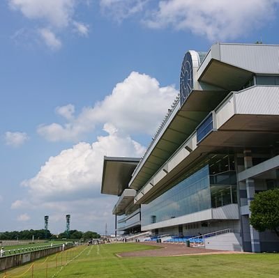 MVC_HASIGO's profile picture. 