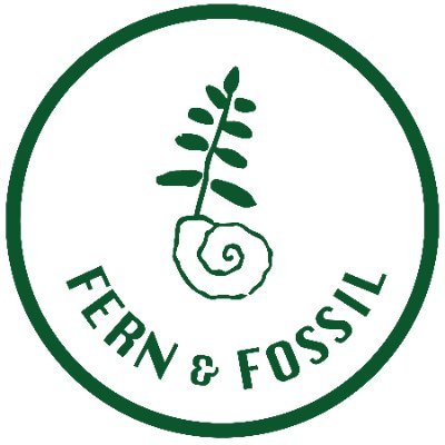 Fern & Fossil provides in-person and remote Terrarium Workshops, custom decorative arrangements, gift items like our succulent candles and Terrarium Kits.