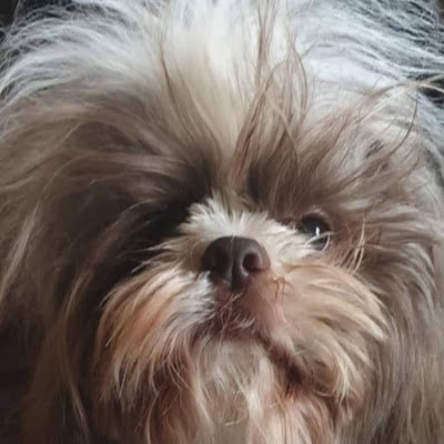 zaksanders26's profile picture. 