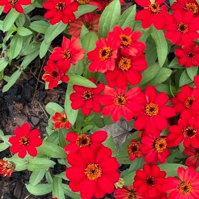 Kat12Coffee's profile picture. 