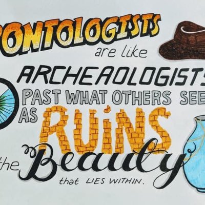 southwest frailty advanced practitioners Profile