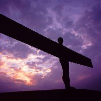 Guerrero Pacifico 🇪🇦 (@ntxboss) 's Twitter Profile Photo