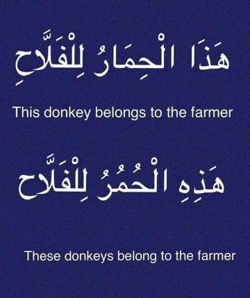 AdanHared3's profile picture. 