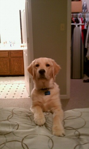 jeffpollitt's profile picture. 