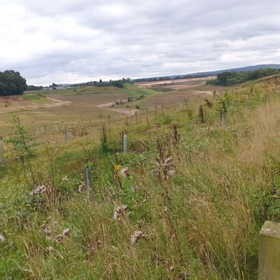 StuckAtHomie's profile picture. I block anyone that follows me...it's not personal. :)