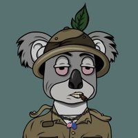 Koala Korner Steve (@stevefromkk) 's Twitter Profile Photo