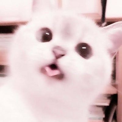 嗣永さんのプロフィール画像