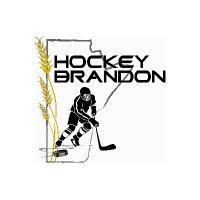 Hockey Brandon(@hockeybrandon17) 's Twitter Profile Photo