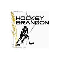 Hockey Brandon (@hockeybrandon17) 's Twitter Profile