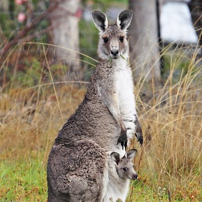 kani01345755's profile picture. 関西 22 お腹空いた。