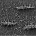 Wein Lab (@lab_wein) Twitter profile photo Wein Lab (@lab_wein) Twitter profile photo