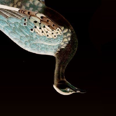 OplOutarde's profile picture. OpenLink Unroll Tweet - a Rapid Development Exercise

Making #knowledgegraphs from threads

You probably want @datatwingler instead