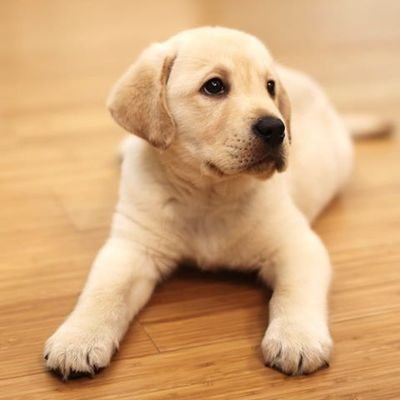 Jerry22984161's profile picture. study hard and improve every day and enjoy lonely soul...