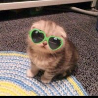 ° (@1elliibes) 's Twitter Profile