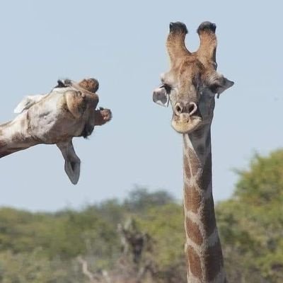 emmaian1's profile picture. 