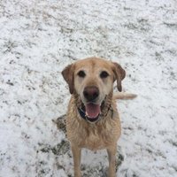 Scott Ehlers (@chiefehlers) 's Twitter Profile
