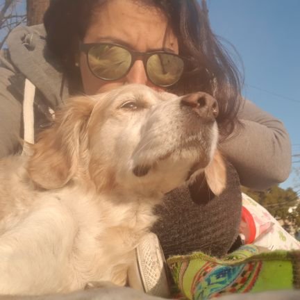 noesanchez_1810's profile picture. 