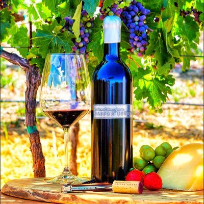 Terroir-driven small production of Cab Sauv, Cab Franc, & Sauv Blanc. Julian Fayard winemaker, organic culinary garden in Napa Valley for @cultivar_sf