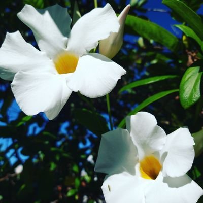 lartdaujourdui's profile picture. 