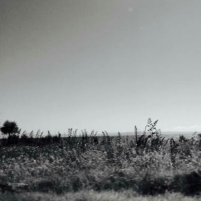 CameronTmcpc29's profile picture. 