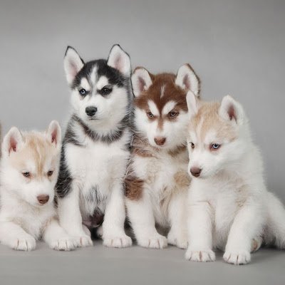 XOeWXWs5W6MMkVX's profile picture. 