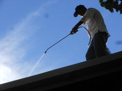We are a team of Pest Control and Hygiene industry experts at your service.