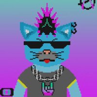 SolCat Punks (@catpunkssol) 's Twitter Profile