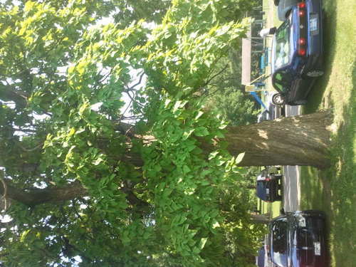 KleanSlate2k6's profile picture. More than you can handle!!!!!!!!!!!!!!!! in every aspect