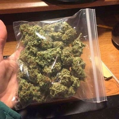 🍁Any kind of marijuana and drugs are available at sweet rate 🌿🌿🌿
🍁Dm me for your home delivery anywhere anytime anyday🌿🌿🌿