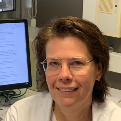 Sofiegevaert Profile