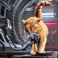 Riverdew (@riverdew2) 's Twitter Profile