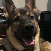 PATRICKFROMATLANTA (@patrickfromaatl) 's Twitter Profile