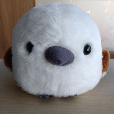 @mLh6ufTyfQwDUdl