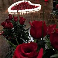 Ali Zerhon (@alizerhon) 's Twitter Profile