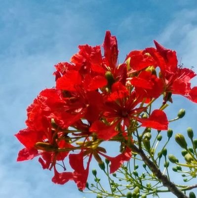 melissa_g_perso's profile picture. Maman, belle-maman, entrepreneure, partenaire, conjointe, consultante et coach!