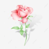 وردة (@gohesa) 's Twitter Profile