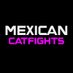 @mexicancatfight