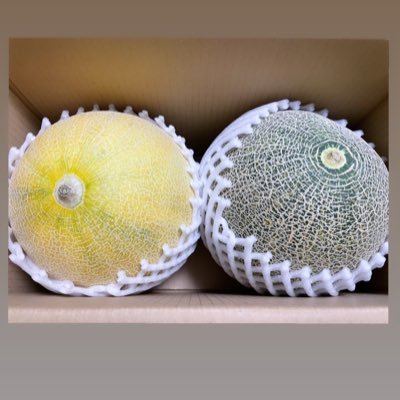 mrmr_meron3685's profile picture. ﾑｼｭﾒ5y👧🏻ﾑｼｭｺ4y👦🏻ﾍﾞﾋﾞ1y👶🏻の子をもつ大雑把母ちゃん。2025.4月に育休から復帰しました。日々生きることで精一杯です…毎日辞めたい…ボーナスと夏休みだけが心の頼り🫶🏻💓