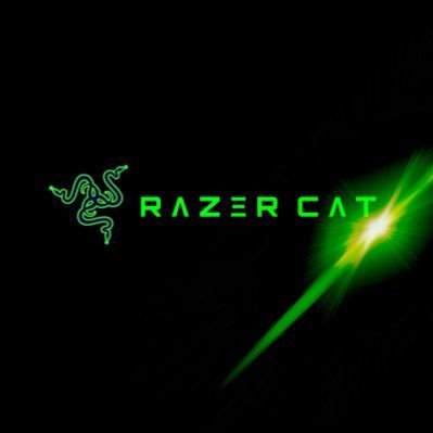 リアルで猫飼ってるRazer Catです！フォローよろしくお願いします🐱  #Razer ＠RazerJP