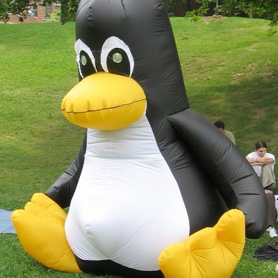 Gnu/Linux & Windows