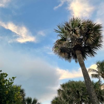 OfficialLopez18's profile picture. ya