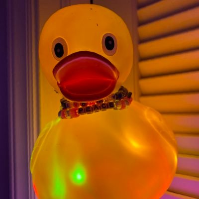 Raging duckz coming to a festival near you. Quack Quack. Find the duck, get a duck 🦆what kind of duck will you find?! #rubberduck #lostlandsfam #ragingduckz