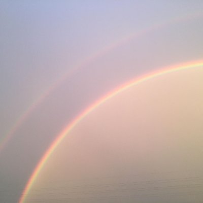 MohliLina's profile picture. こどもたちがみんなしあわせでありますように。
おとなもこどももみんなしあわせでありますように。