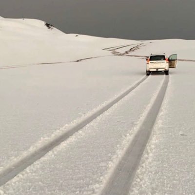 LBIe11YQNZrawBI's profile picture. 